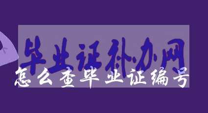 高中畢業(yè)證丟了怎么查詢編號(hào)的方法！