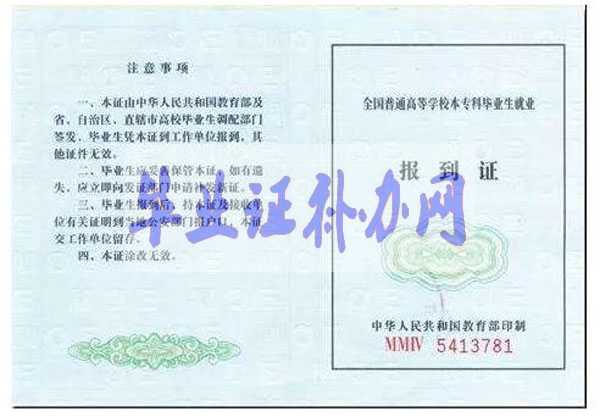 就業(yè)報到證樣本圖片模板