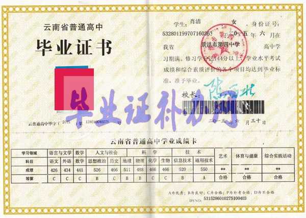 云南省高中畢業(yè)證圖片高清